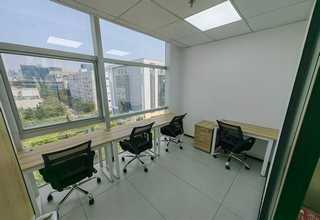 广西柑橘黄龙病跟衰退病的区别