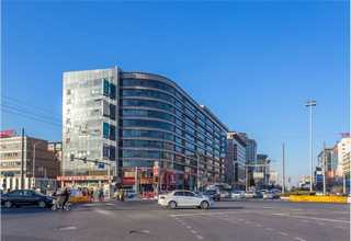 奉化区菊花酒价格